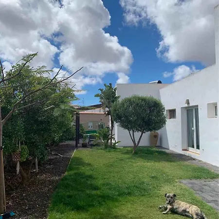 Joy בית אירוח לאחארס