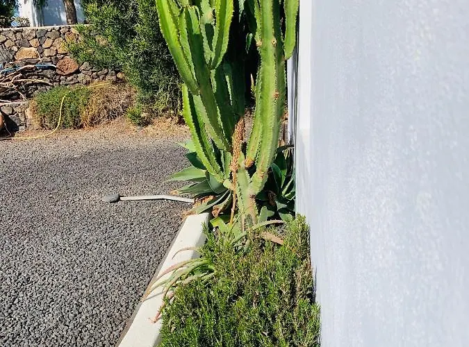 Accommodatie bij particulieren Joy *