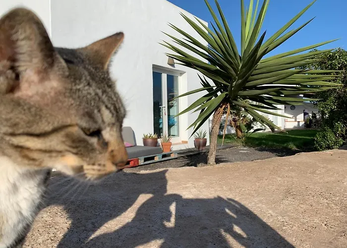 Joy בית אירוח