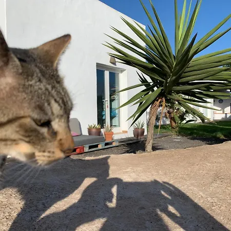 Joy منزل للإقامة