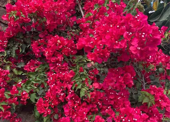 Joy Ubytování v soukromí *